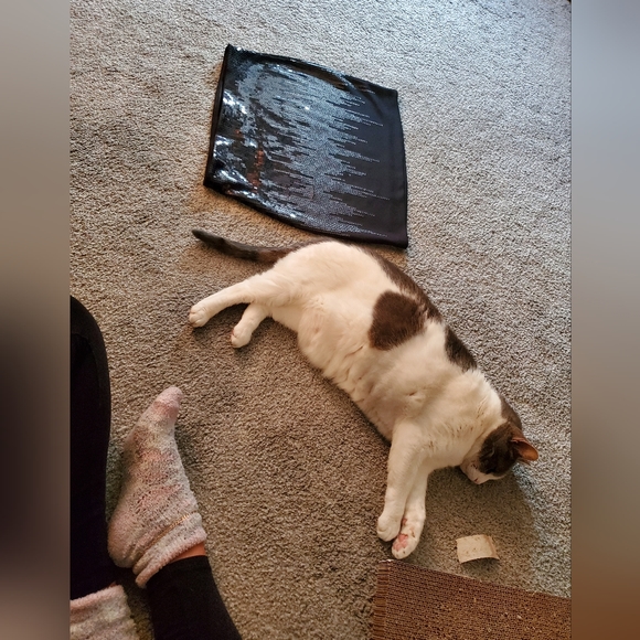 💜🖤💚 Shop my fabulous, ever growing closet! 💜🖤💚 - Picture 6 of 10